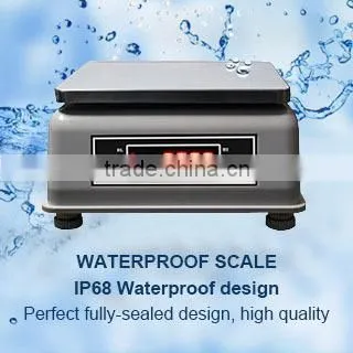 30kg seafood waterproof scale