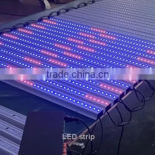 DC12V waterproof 48LEDs/m DMX512 RGB LED digital tube