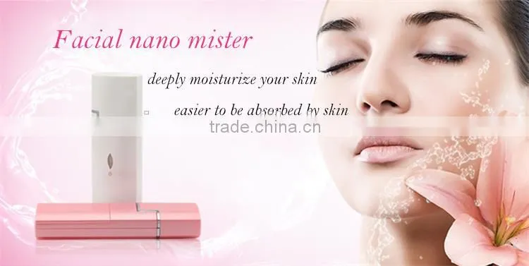 EveryLady 4ml battery negative ion face steamer