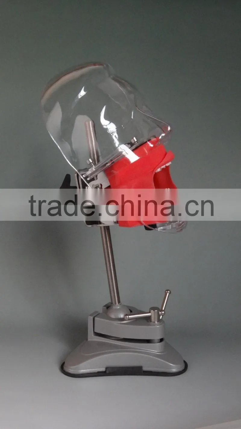 Multifunctional Simple head mold dental model