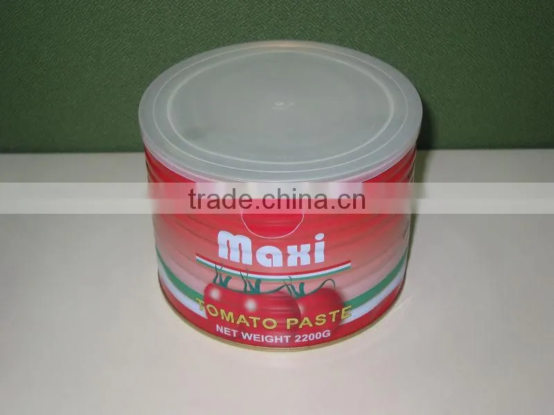 brix different ,bulk tomato aseptic ketchup tomato paste halal food manfacturer