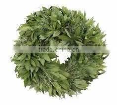 Bay Leaf oil (Cinnamomum tamala)
