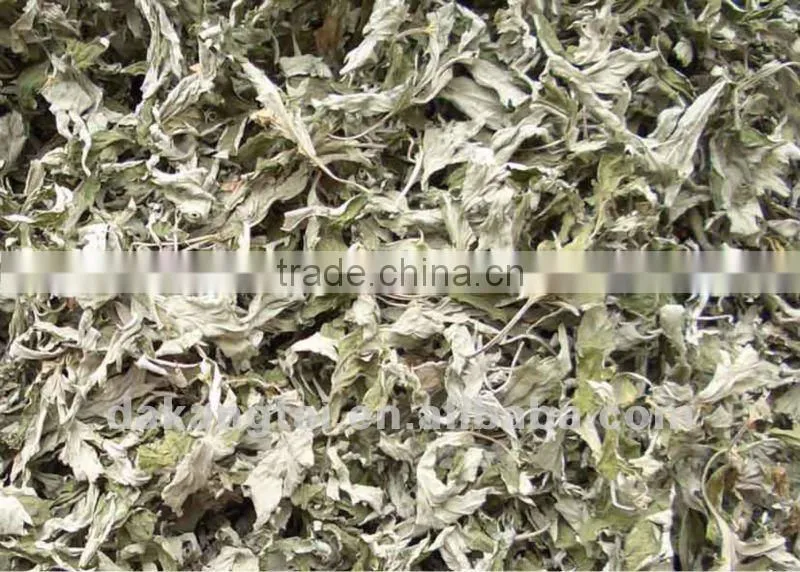 artemisia leaf powder