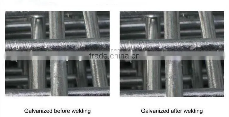 2X2 stainless steel welded wire mesh