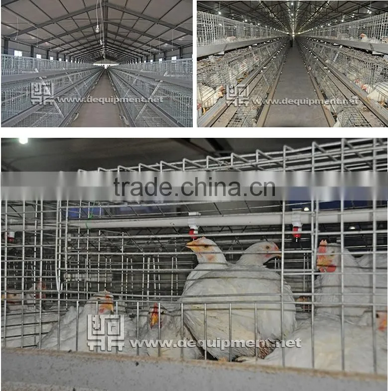 TA NO.1 Reduction sale galvanized and quality fittings growing broiler chicken cage