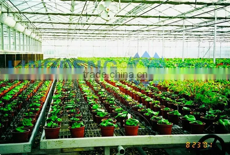 Horticultural Spray Machine