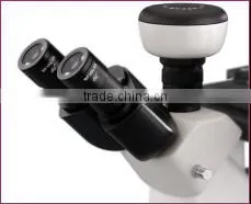 BDS 300 Series Inverted Microscope Outfits