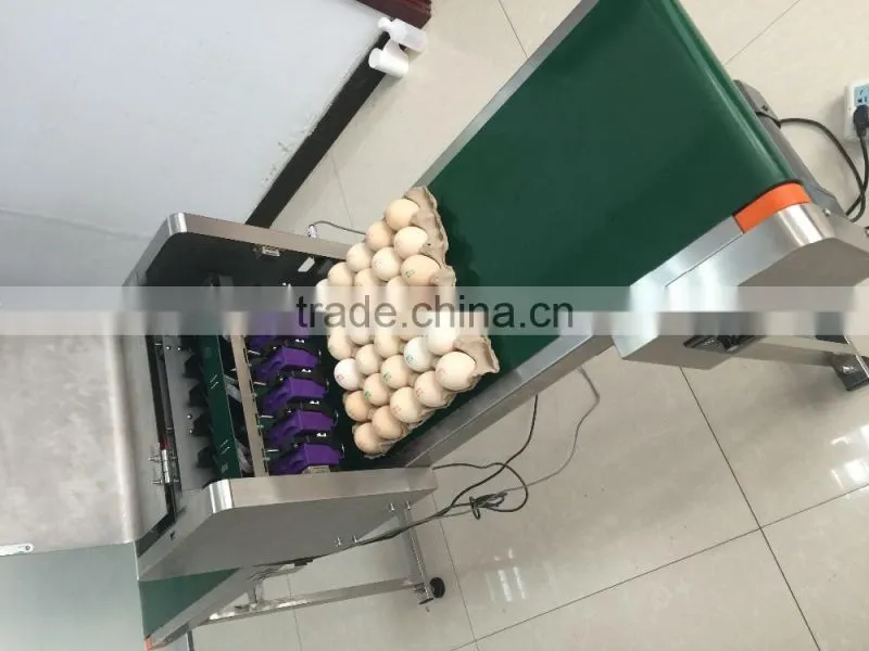 Hot Stamping Date Coding Machine/Egg Code Printing Machine/Bottle Date Code