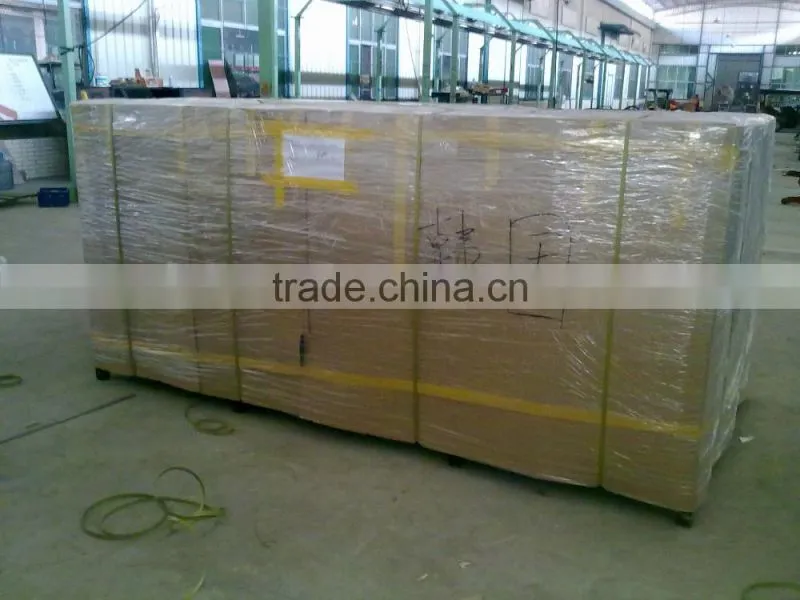 Chinese supplier AC MOTOR Luxury sightseeing car