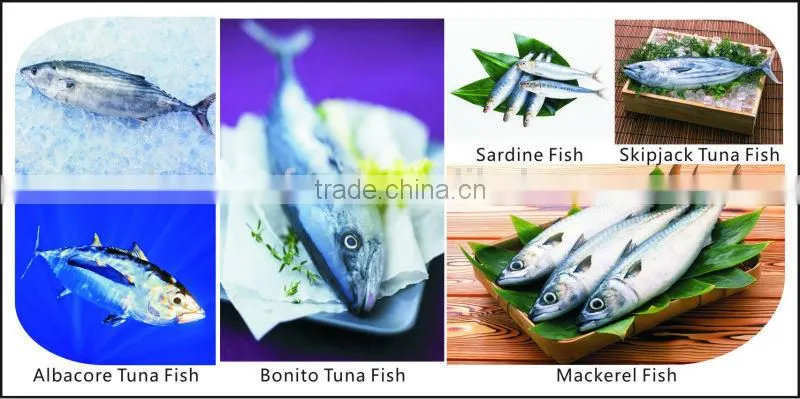 Hot Sale Bonito Loin For Banquet lot number#kml4838