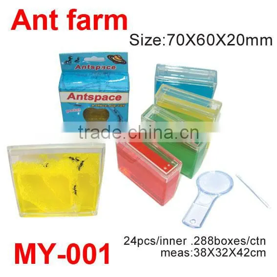 Colorful Plastic Apple-shape Ant Farm Toys
