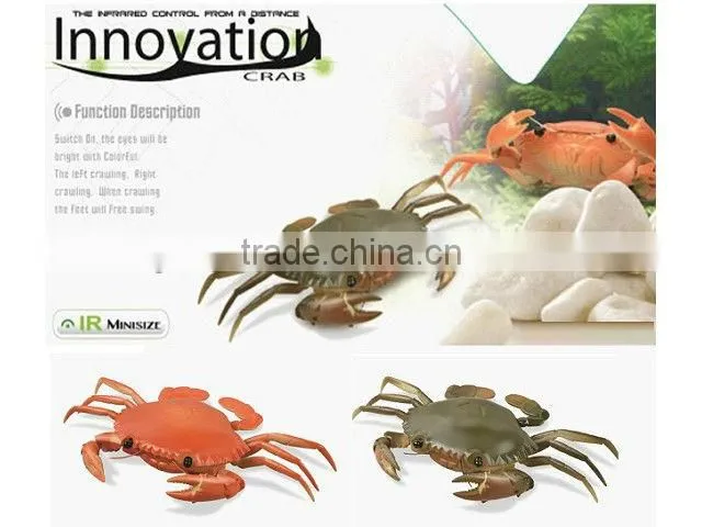 rc SPIDER animal