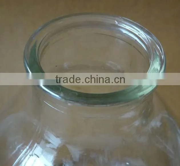 624ml Tissue culture vessels jar