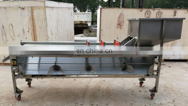 Automatic sorter citrus fruits vegetable size sorting grading machine for dates olive apple