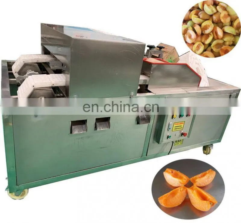 China Cheapest Price Best Quality Cherry Apple Peach Plum Olive Apricot Seed Core Pitter Remover On Warehouse