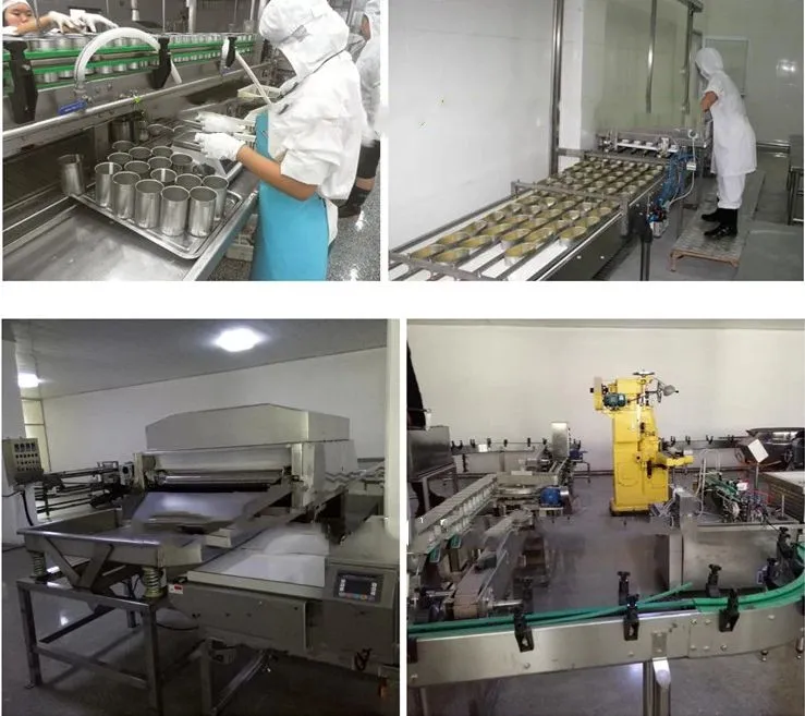Genyond Factory Small Scale Tuna Fish Canning Processing Machine Canned Tuna in Oil Production Line Processing Plant