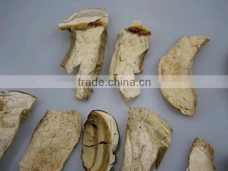 Dried Boletus/Porcini Edulis mushroom slices Top grade