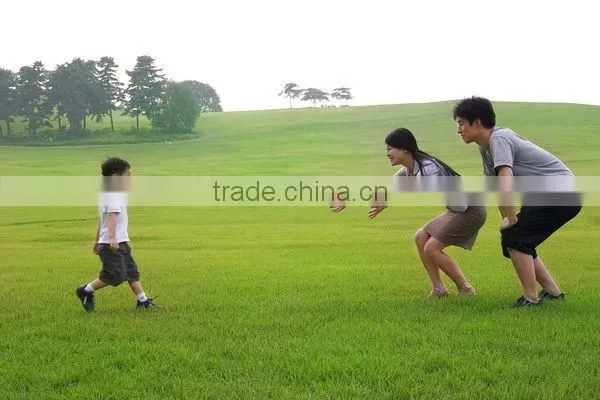 hidden gps tracker for kids