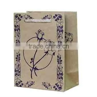 Fancy Paper Promotional Bag