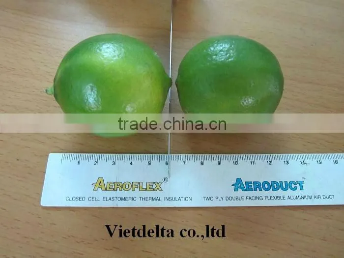 FRESH LEMON & lIME WITH BEST PRICE