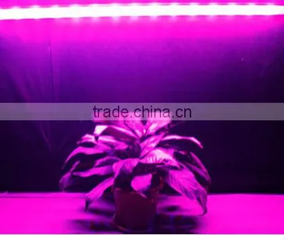 White house round shape 90W chip plants led Grow lighting