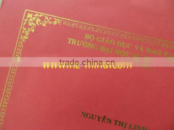 China supply advertisement (TJ-256) Digital hot Foil Stamping Machine
