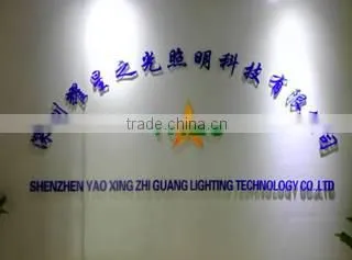 Shenzhen Yaoxingzhiguang Lighting Technology Co., Ltd. company overview - view 1