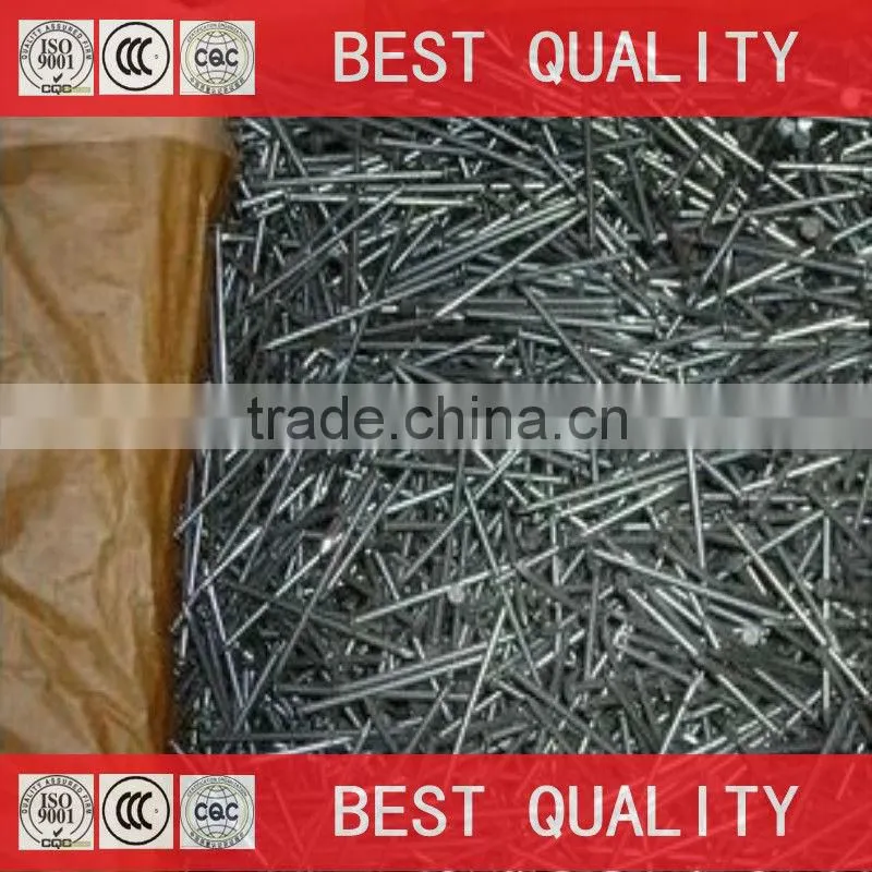 china best quality canton fair common nail