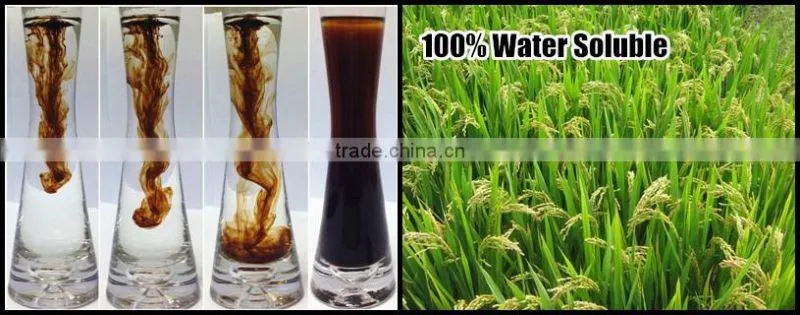FAQ 33--Huminrich Potassium Humate Fertilizer Application On Plants