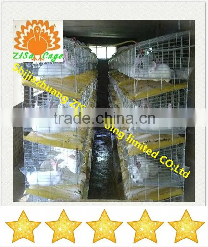 24 rabbits Automatic rabbit breeding cage equipment in kenya