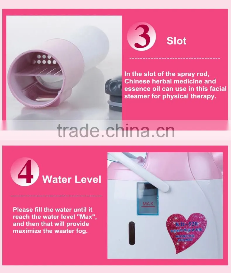 Beauty salon electric vapor ozone facial steamer
