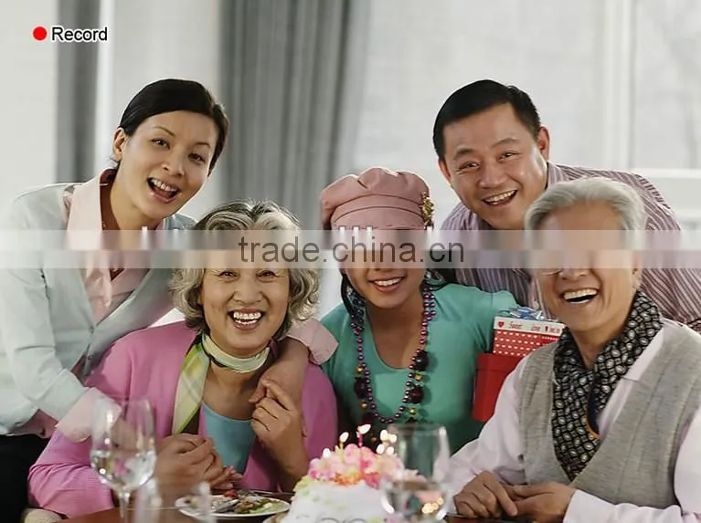 Family and Commercial Use P2P Web Camera