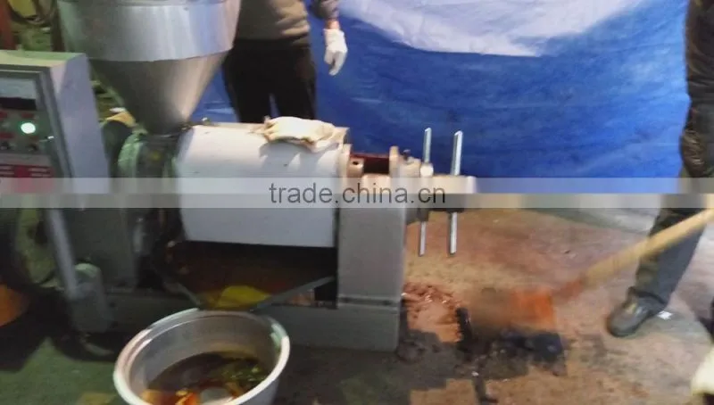 2016 top sales !!! Mini cold Oil Press