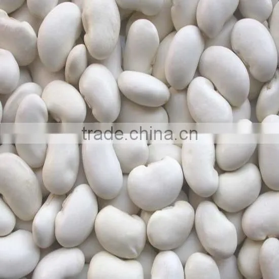China white Kidney beans/medium 2010