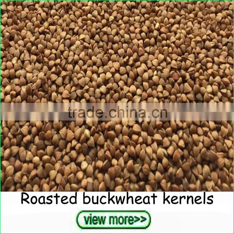 2016 Crop small size white kidney beans navy beans