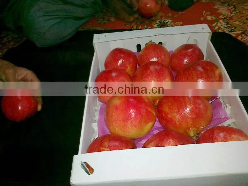 Wonderful Red pomegranate