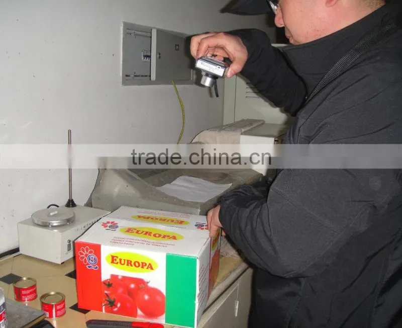 70g 56g stand pouch tomato paste double concentrated 28-30%