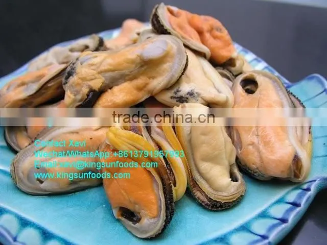 Precooked Frozen Mussel Meat
