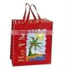 Classical Eco-friendly PP woven gift bag