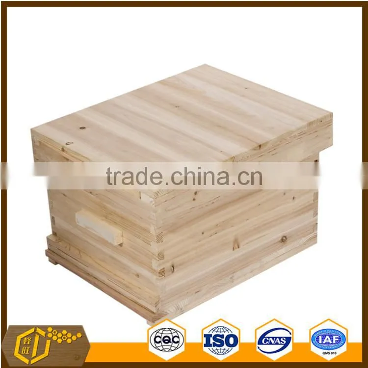 bee hive