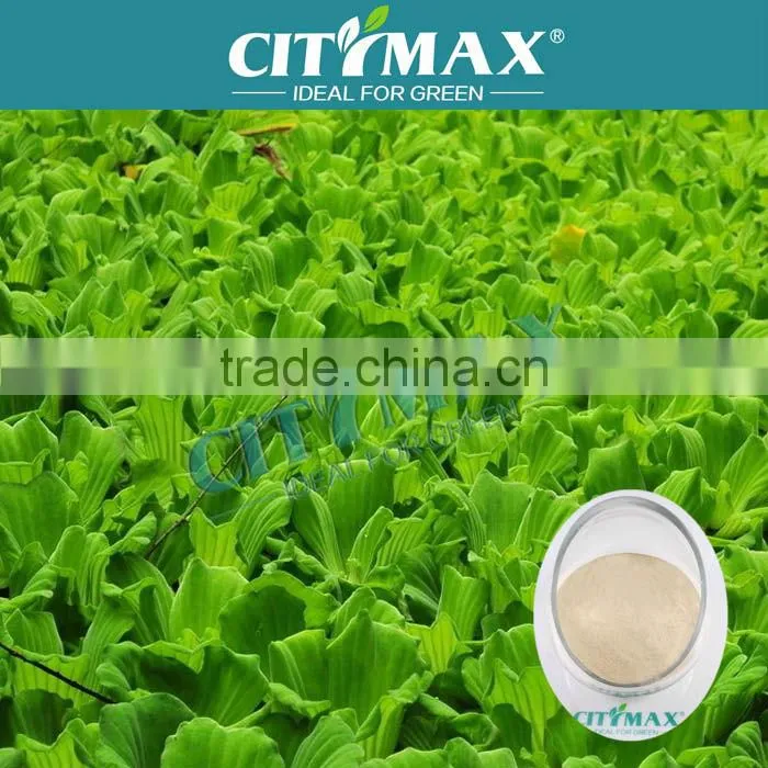 High Quality Complex Amino Acid Powder