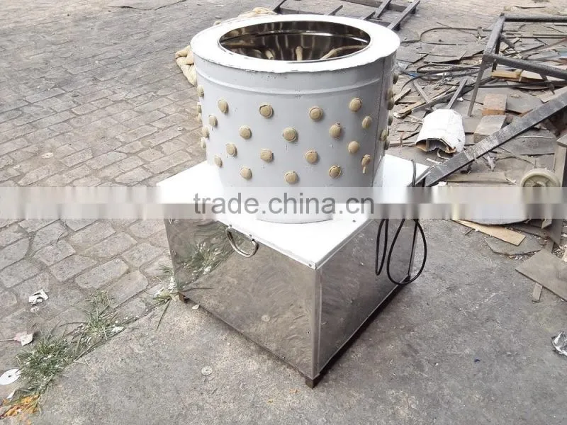 automatic chicken plucking machine/feather plucker for chicken use.