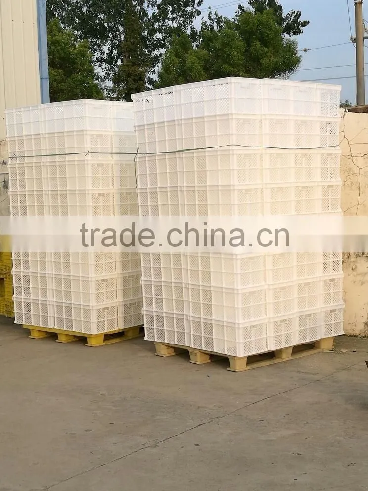 high quality chicken egg transport cage