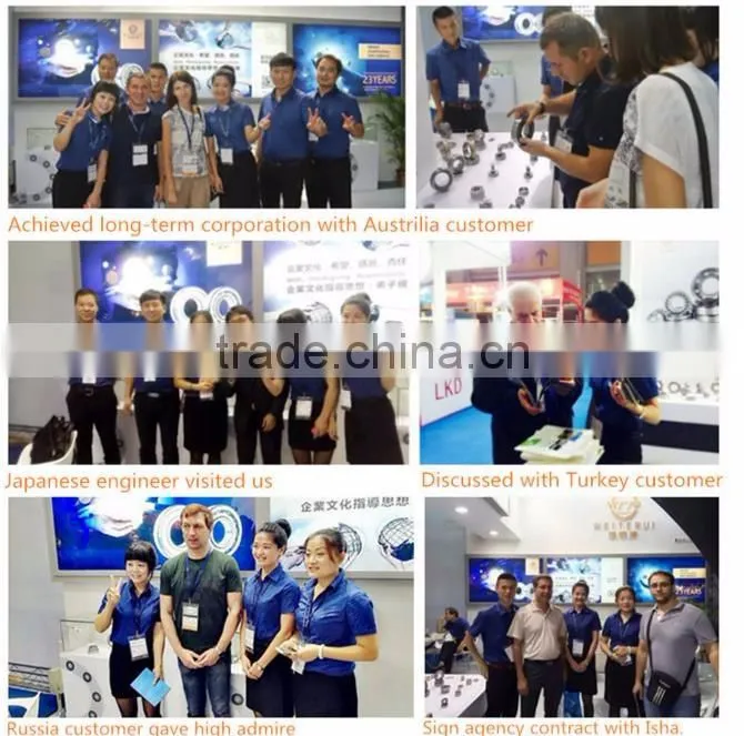 Stainless self-aligning ball bearing 1310
