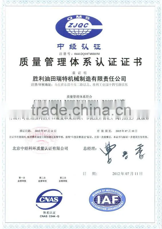 Oilfield API Standard Swing Check Valve