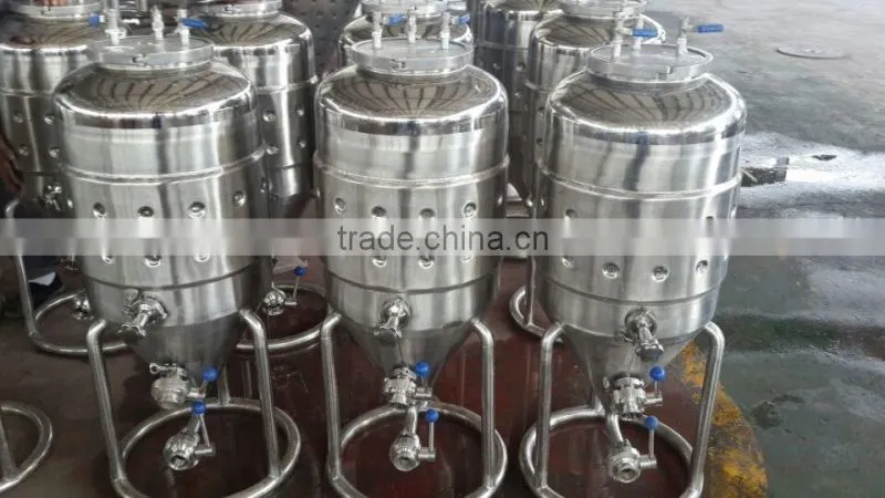 100l fermenter
