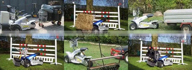 golf cart(SX-E0906-3A)