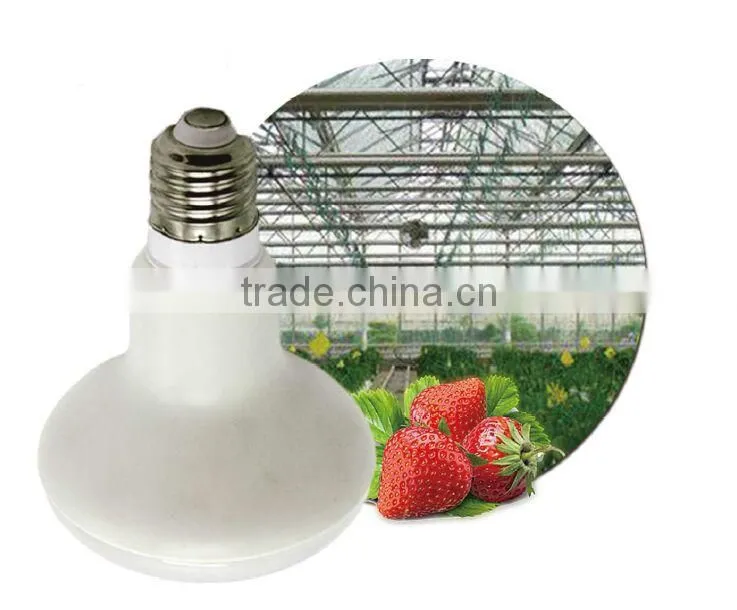 Growing Bulbs For Garden Greenhouse and Hydroponic Full Spectrum Growing