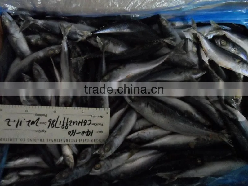 frozen mackerel 140-160g, new arrival, Nov