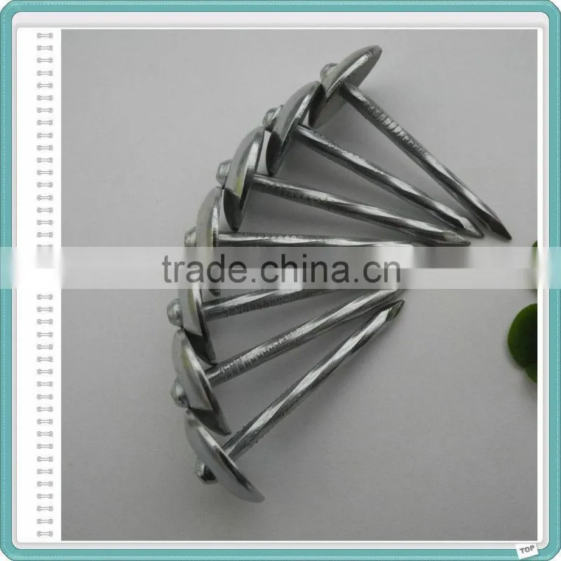 Umbrella Head Galvanized Roofing Nails with Rubber Washer